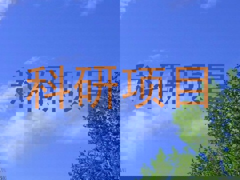 科研项目