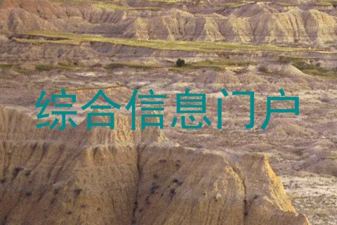 综合信息门户