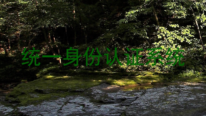 统一身份认证系统