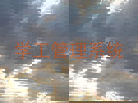 学工管理系统