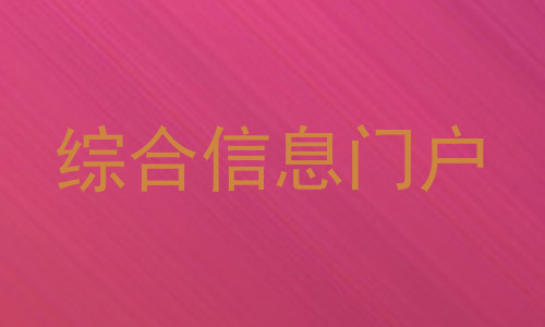 综合信息门户