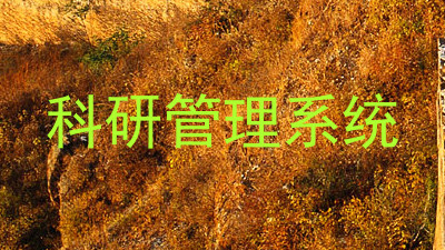 科研管理系统