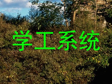 学工系统