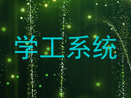 学工系统