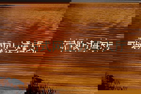 一站式网上办事大厅