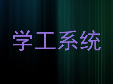 学工系统