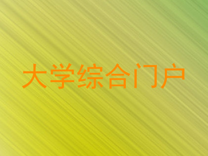 大学综合门户