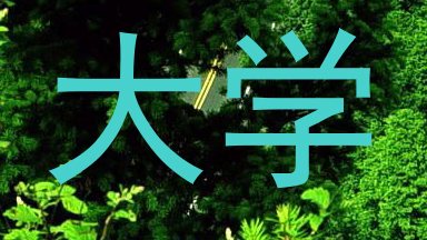 大学