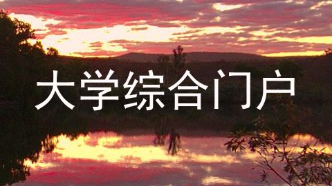 大学综合门户