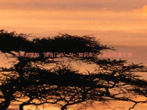 湖南大学的‘综合门户’与‘知识库’：我的欣喜之旅