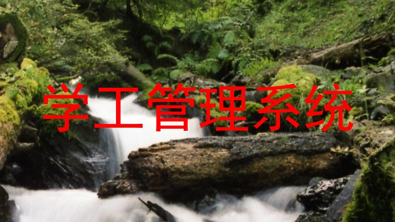 学工管理系统
