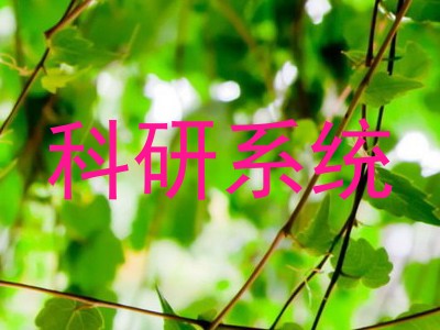 科研系统