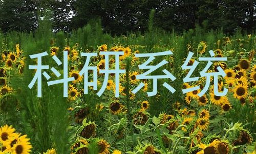 科研系统