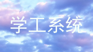 学工系统