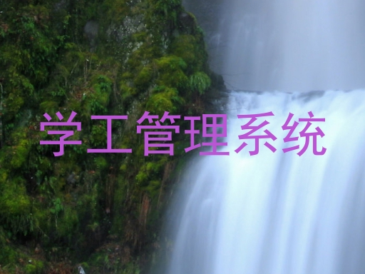 学工管理系统