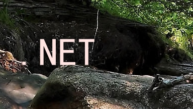 .NET