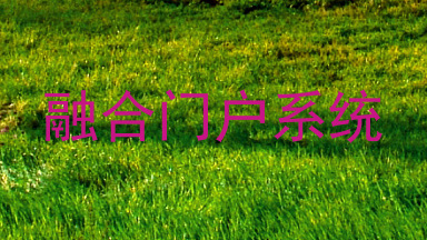 融合门户系统