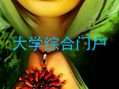 大学综合门户