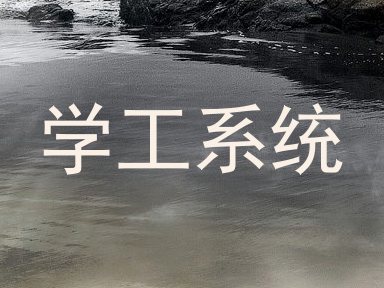 学工系统