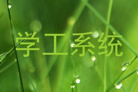 学工系统