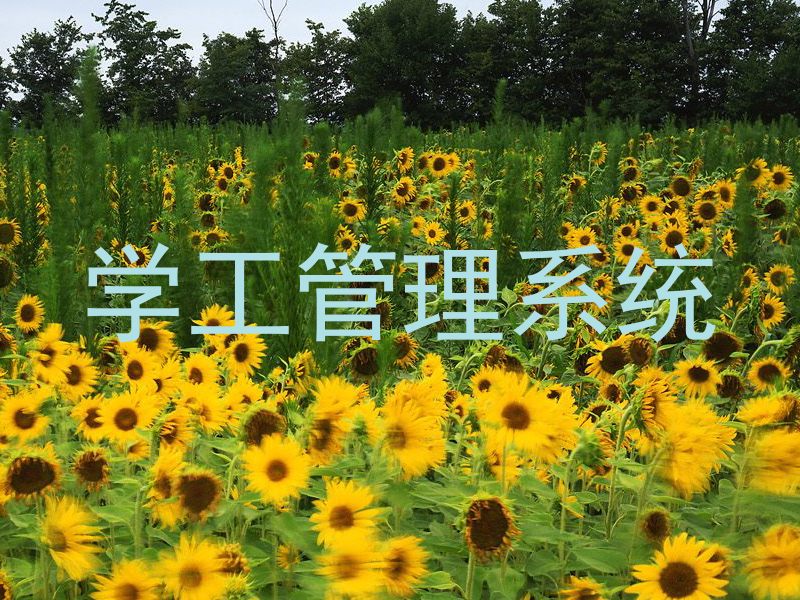 学工管理系统