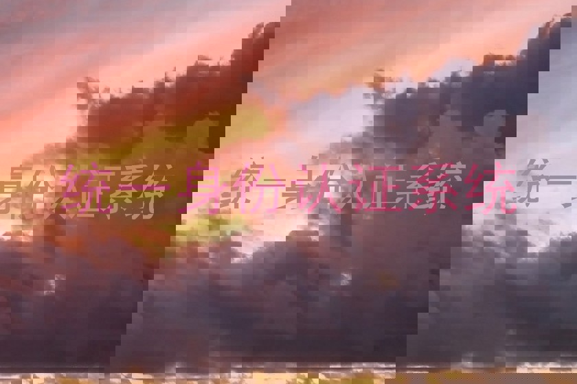 统一身份认证系统