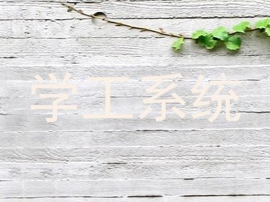 学工系统