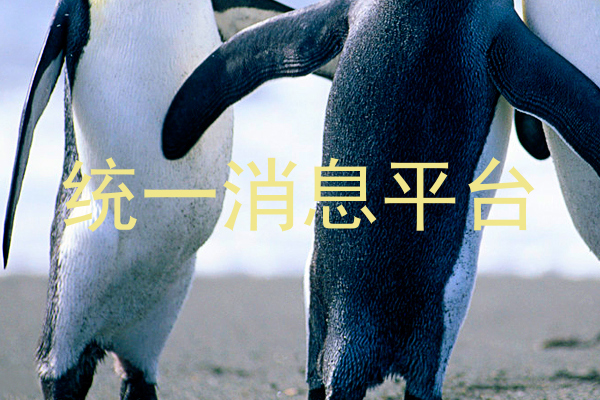 统一消息平台
