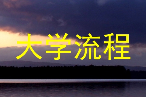 大学流程