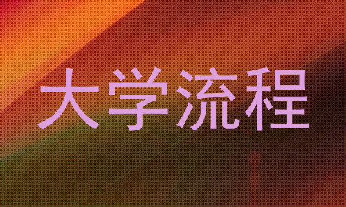 大学流程