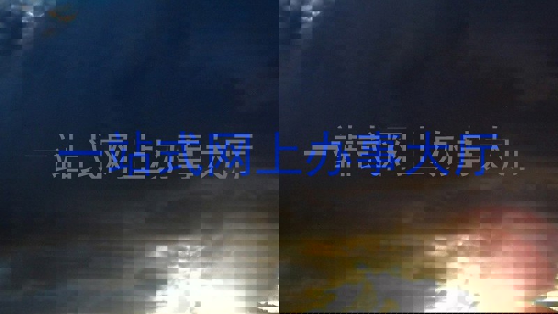 一站式网上办事大厅