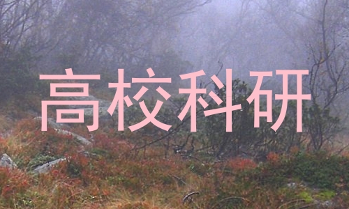 高校科研