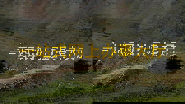 一站式网上办事大厅