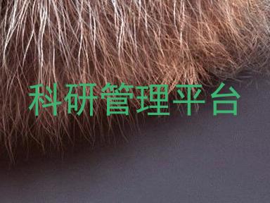 科研管理平台