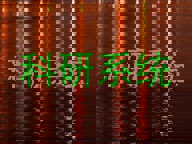 科研系统