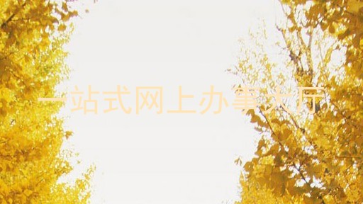 一站式网上办事大厅