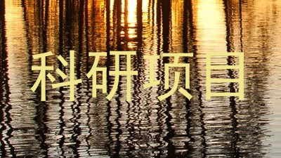 科研项目