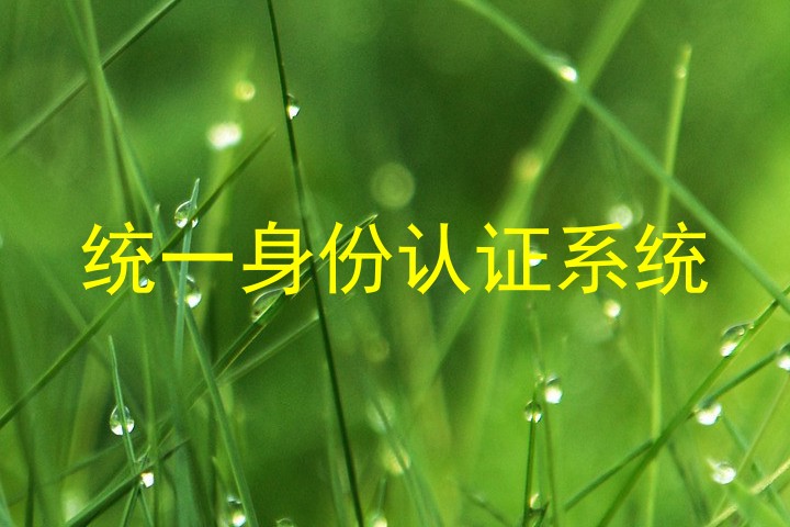 统一身份认证系统