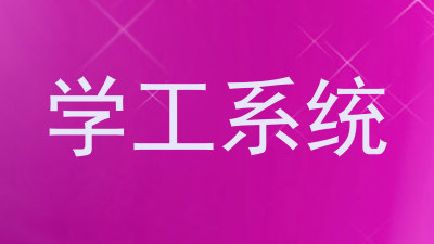 学工系统