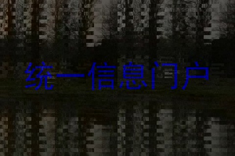 统一信息门户