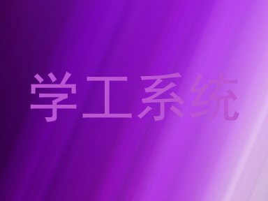 学工系统
