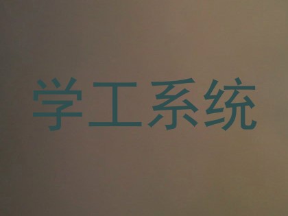 学工系统
