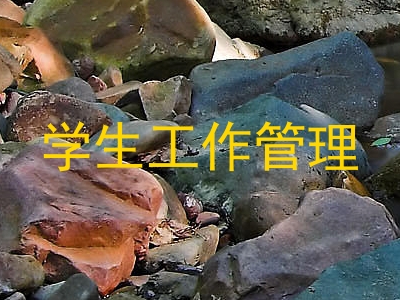 学生工作管理