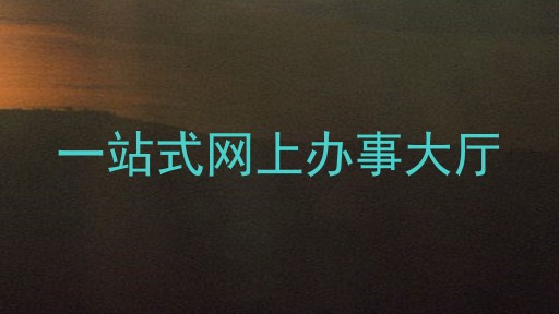 一站式网上办事大厅