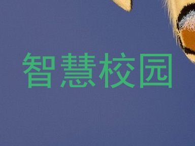 智慧校园