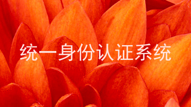 统一身份认证系统