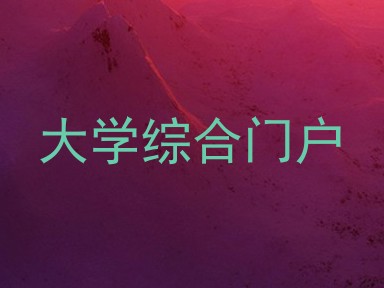 大学综合门户