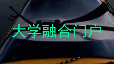 大学融合门户