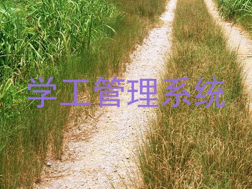 学工管理系统
