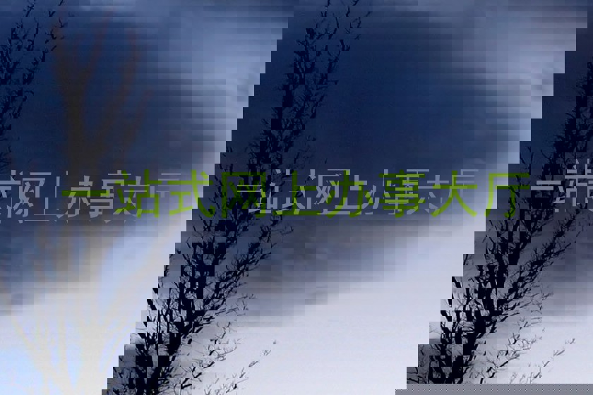 一站式网上办事大厅